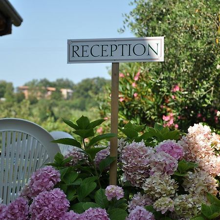 Agriturismo Ai Ciliegi Bardolino Exterior foto